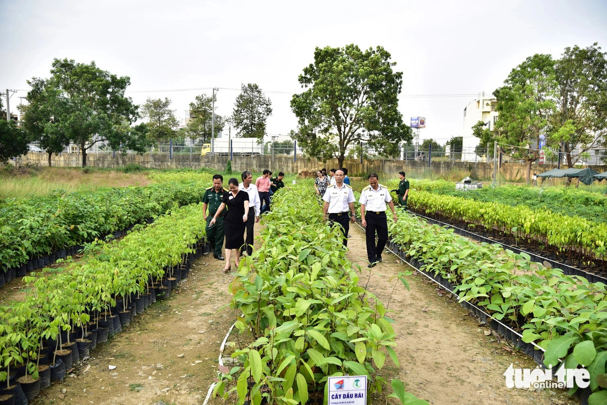 Một triệu cây xanh vì biển đảo Tổ quốc
